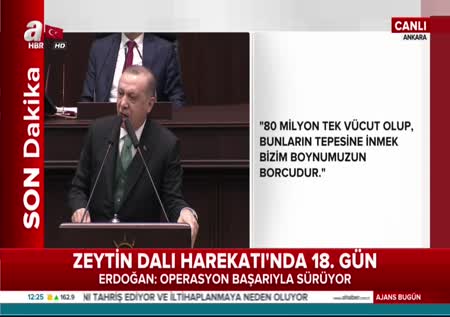 Cumhurbaşkanı Erdoğan: Sonunda uyuyan devi uyandırdılar