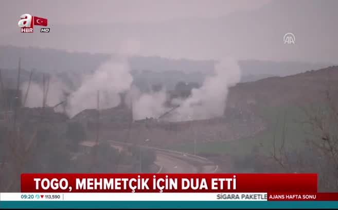'Zeytin Dalı Harekatı'na dünyadan destek