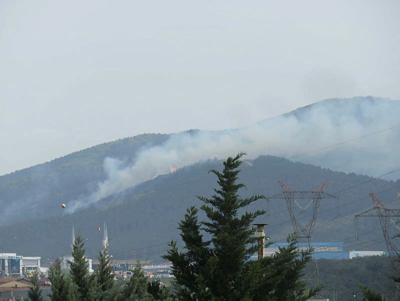 Aydos Ormanı'nda yangın çıktı